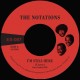 NOTATIONS-I'M STILL HERE (7")