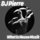 DJ PIERRE-WHAT IS HOUSE MUZIK -COLOURED/ANNIV- (12")