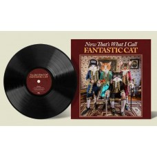 FANTASTIC CAT-NOW THAT'S WHAT I CALL FANTASTIC CAT (LP)