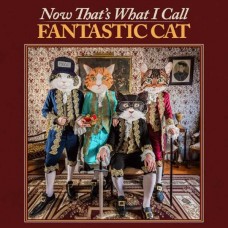 FANTASTIC CAT-NOW THAT'S WHAT I CALL FANTASTIC CAT (CD)