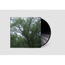 JULIANNA BARWICK-THE MAGIC PLACE (LP)