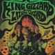 KING GIZZARD & THE LIZARD WIZARD-LIVE AT LEVITATION '14 (LP)