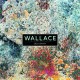 WALLACE-DES DEMAIN (CD)