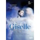 DUTCH NATIONAL BALLET-ADAM: GISELLE (DVD)