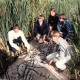 CHILDREN OF THE MUSHROOM-CHILDREN OF THE MUSHROOM (CD)
