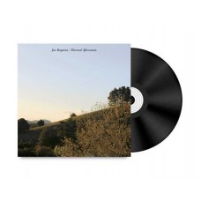 JOE KAPTEIN-ETERNAL AFTERNOONS (LP)