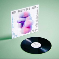 CHRIS IMLER-THE INTERNET WILL BREAK MY HEART (LP)