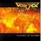 ARIDA VORTEX-FLAMES OF SUNSET (CD)