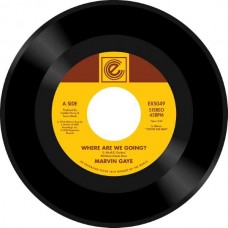 MARVIN GAYE-WHERE ARE WE GOING/WOMAN OF THE WORLD (7")
