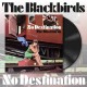 BLACKBIRDS-NO DESTINATION (LP)
