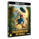 FILME-PADDINGTON IN PERU -4K- (2BLU-RAY)