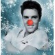 ELVIS PRESLEY-ELVIS' CHRISTMAS ALBUM -COLOURED- (LP)