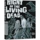 FILME-NIGHT OF THE LIVING DEAD (1968) -4K- (3BLU-RAY)