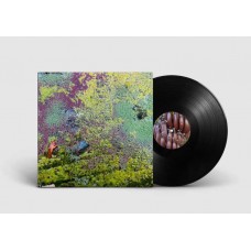 ROB MAZUREK-NESTOR'S NEST (LP)
