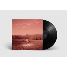 POMRAD-SILVER BLUE (LP)