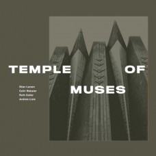 STIAN LARSEN-TEMPLE OF MUSES (CD)