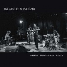 JOHN DIKEMAN-OLD ADAM ON TURTLE ISLAND (CD)