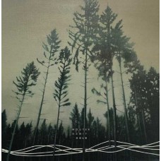 WOUTER DEWIT-HOLD (LP)