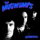 MUGWUMPS-DOMINO (LP)