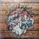 CHICKEN JUMP SKIPS-CHICKEN JUMP SKIPS (LP)