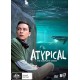 FILME-ARTYPICAL: THE COMPLETE SERIES (8DVD)