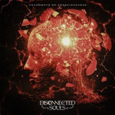 DISCONNECTED SOULS-FRAGMENTS OF CONSCIOUSNESS (CD)