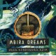 ERICA KUNDIDZORA AZIM-MBIRA DREAMS (CD)