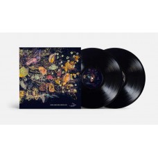 HANS-JOACHIM ROEDELIUS-PINK, BLUE AND AMBER -HQ/LTD- (2LP)