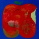 CONVENENIENCE-LIKE CARTOON VAMPIRES (CD)