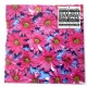 AUSTERITY PROGRAM-BLACK MADONNA (LP)