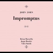 JOHN ZORN-IMPROMPTUS (CD)