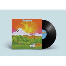 TIM HEIDICKER-FEAR OF DEATH (LP)