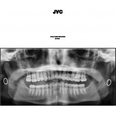 JACK VAN CLEAF-JVC (CD)