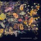 HANS-JOACHIM ROEDELIUS-PINK, BLUE AND AMBER -LTD- (CD)