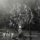 PIIP-PIENET IHMISET ISOT PUUT (CD)