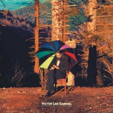 VICTOR LEE GABRIEL-LE MONSTRE ET LA MAISON (CD)