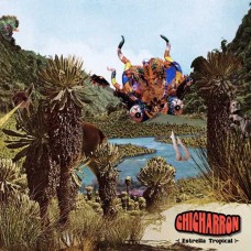 CHICHARRON-ESTRELLA TROPICAL (CD)