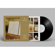 CARLOS FERREIRA-FLUX (LP)
