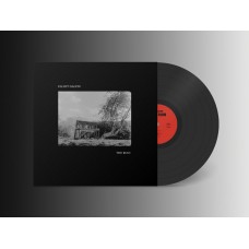 ELLIOTT GALVIN-THE RUIN (LP)