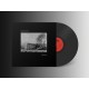 ELLIOTT GALVIN-THE RUIN (LP)