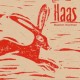 MAARTEN VOORTMAN-HAAS (CD)