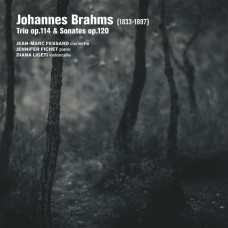 JEAN-MARC FESSARD & JENNIFER FICHET-BRAHMS TRIO OP. 114 SONATES OP. 120 (CD)