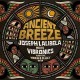 JOSEPH LALIBELA/VIBRONICS AND THE MAFIA/FLUXY BAND-ANCIENT BREEZE (LP)