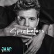 JAAP REESEMA-SPRAKELOOS (CD)
