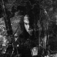 THISQUIETARMY-LANGUE HYBRIDE (CD)