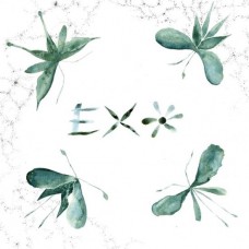 EXO-EXO (LP)