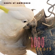SOULS OF AMBIENCE-A 1000 TEARS (CD)