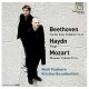 BEETHOVEN/HAYDN/MOZART-AN DIE FERNE GELIEBTE (CD)