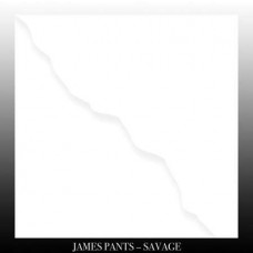 JAMES PANTS-SAVAGE (LP)