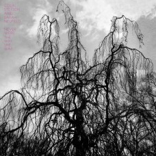 COLIN STETSON-NEVER WERE THE WAY SHE.. (LP)